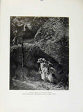 Original Old Antique Print Young Tiercel Male In 4Th Week Birds