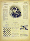 Original Old Antique Print Mother Son Cat Kitten Animal French 1882 Victorian