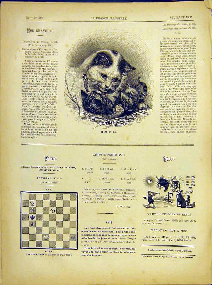 Original Old Antique Print Mother Son Cat Kitten Animal French 1882 Victorian