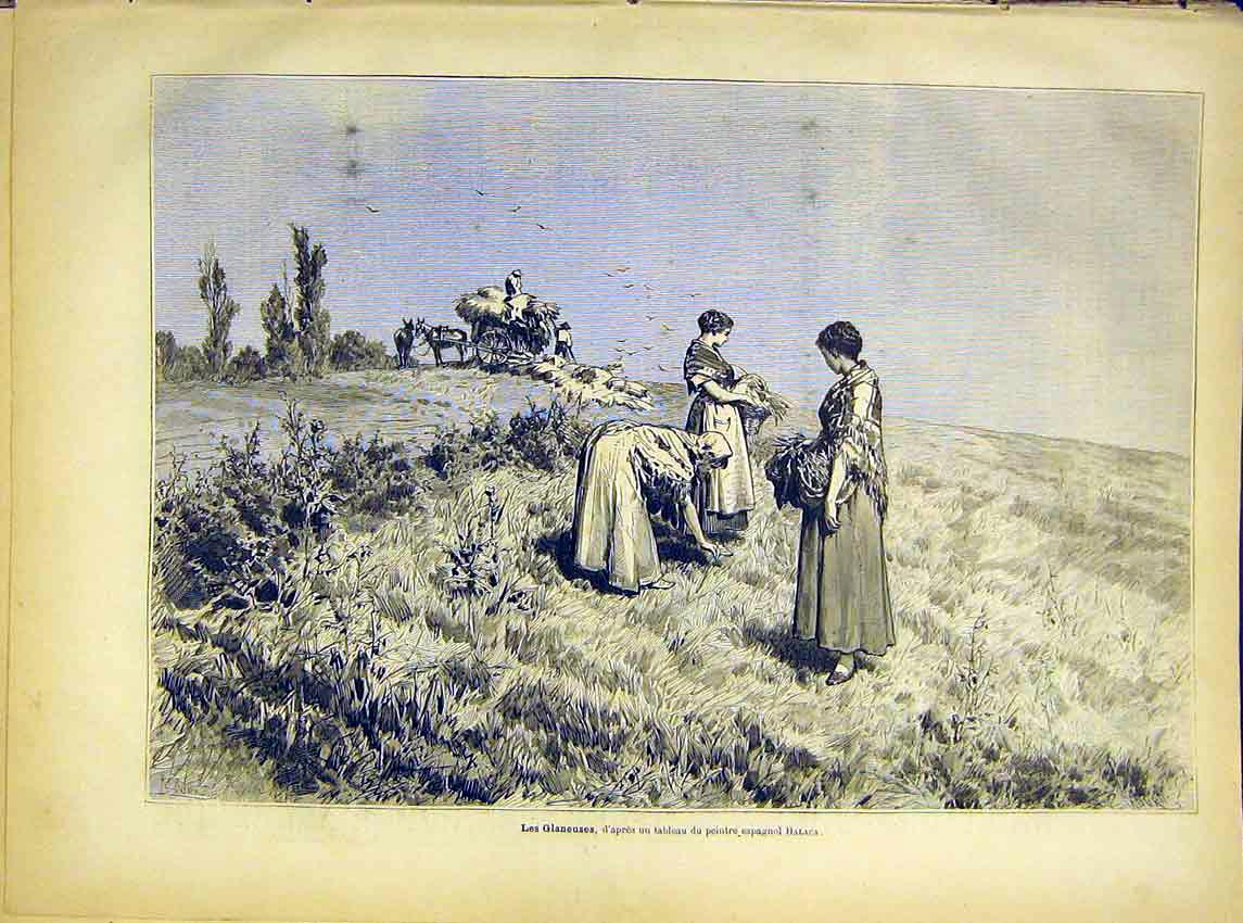 Original Old Antique Print Balaca Art Ladies Field Glaneuses French 1882 19th