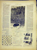 Original Old Antique Print Snake Boa-Constrictor Reptile French 1882 Victorian