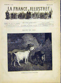 Original Old Antique Print Goats Animal Garden Simon Fine Art French 1882 19th