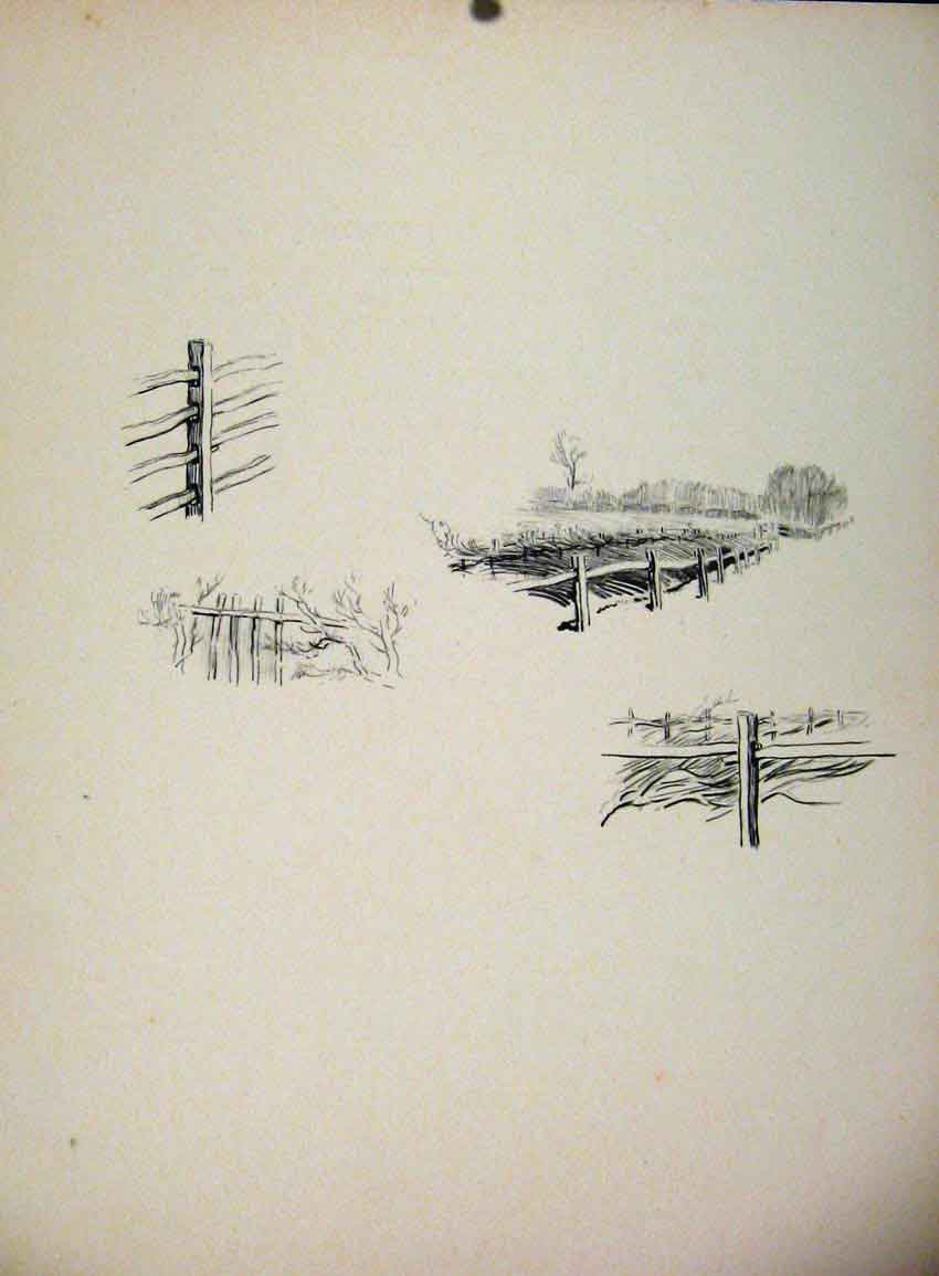Original Old Antique Print Wire Posts On The Landing Side By Lionel Edwards