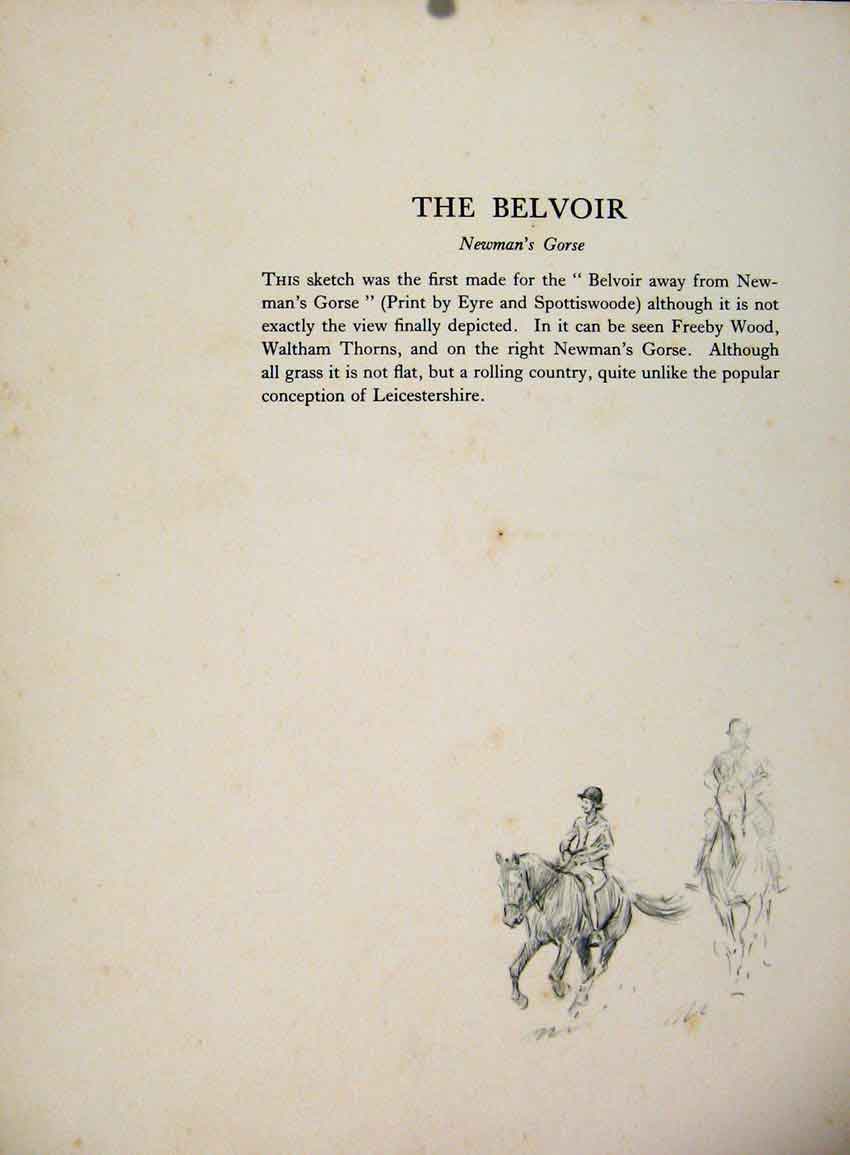 Original Old Antique Print The Belvoir Newmans Gorse By Lionel Edwards Drawing