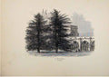 Original Old Antique Print In The Cloisters Saisbury England 1875 Sketch 19th
