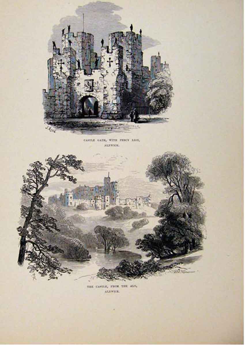 Original Old Antique Print Castle Gate Percy Lion Aln Alnwick C1875 Art 19th
