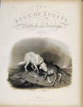 Original Old Antique Print Scene In The Highlands Deer Dog C1843 Art Victorian