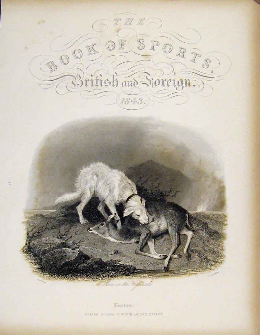 Original Old Antique Print Scene In The Highlands Deer Dog C1843 Art Victorian