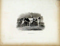 Original Old Antique Print Belia Lucy C1843 Two Friendly Dogs 19th