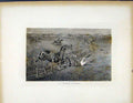 Original Old Antique Print Awkward Dilemma C1843 Horse Jumping Fence Victorian
