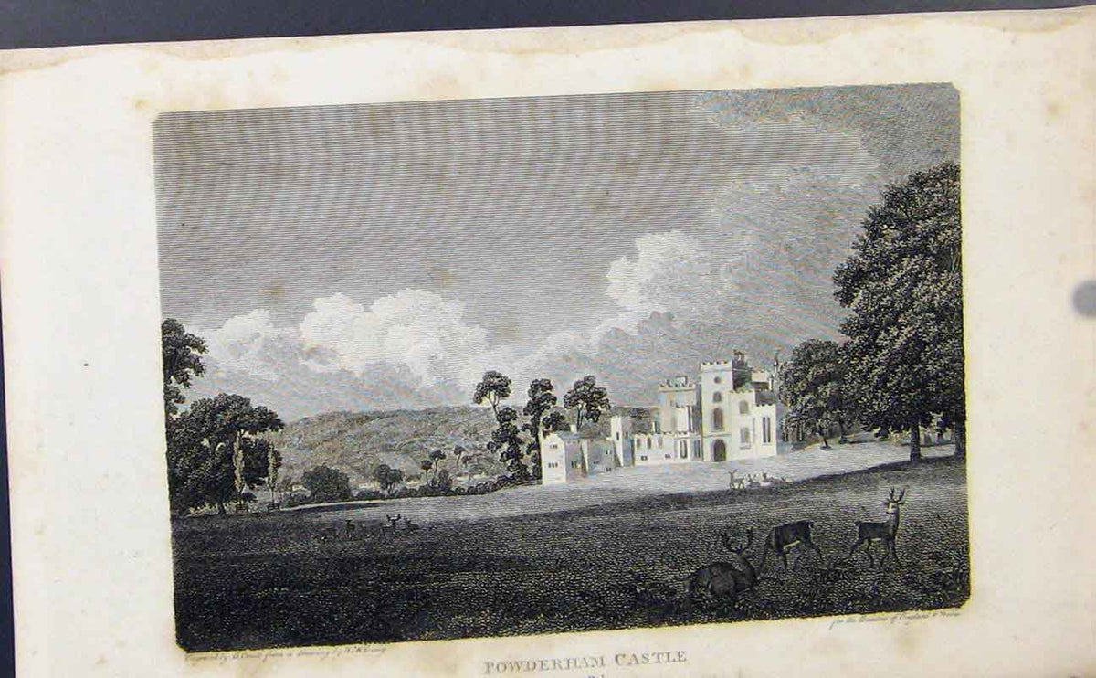 Original Old Antique Print Fowderham Castle Devonshire Fine Art