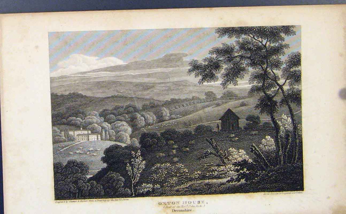 Original Old Antique Print Oxton House Deyonshire C1849 Fine Art 19th