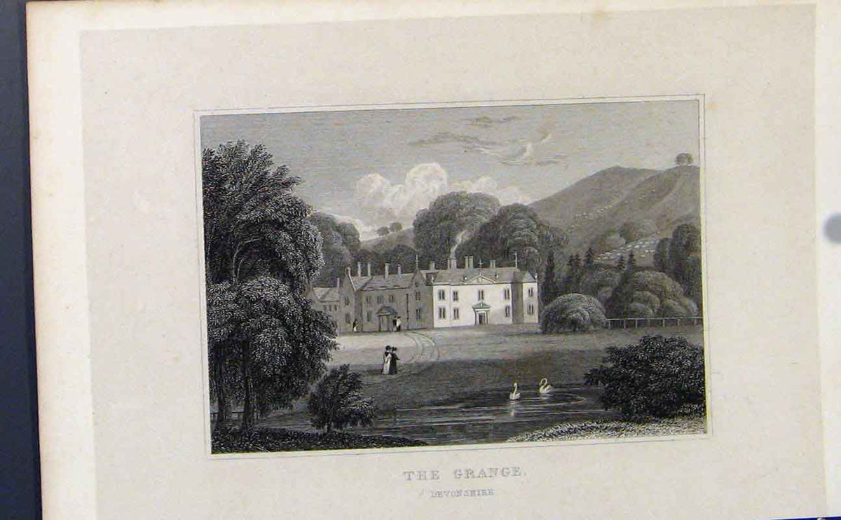 Original Old Antique Print Fine Art England The Grange Devonshire