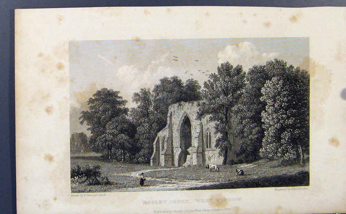 Old Antique Print Netley Abbey West Window Church St Cross Hampshire Art