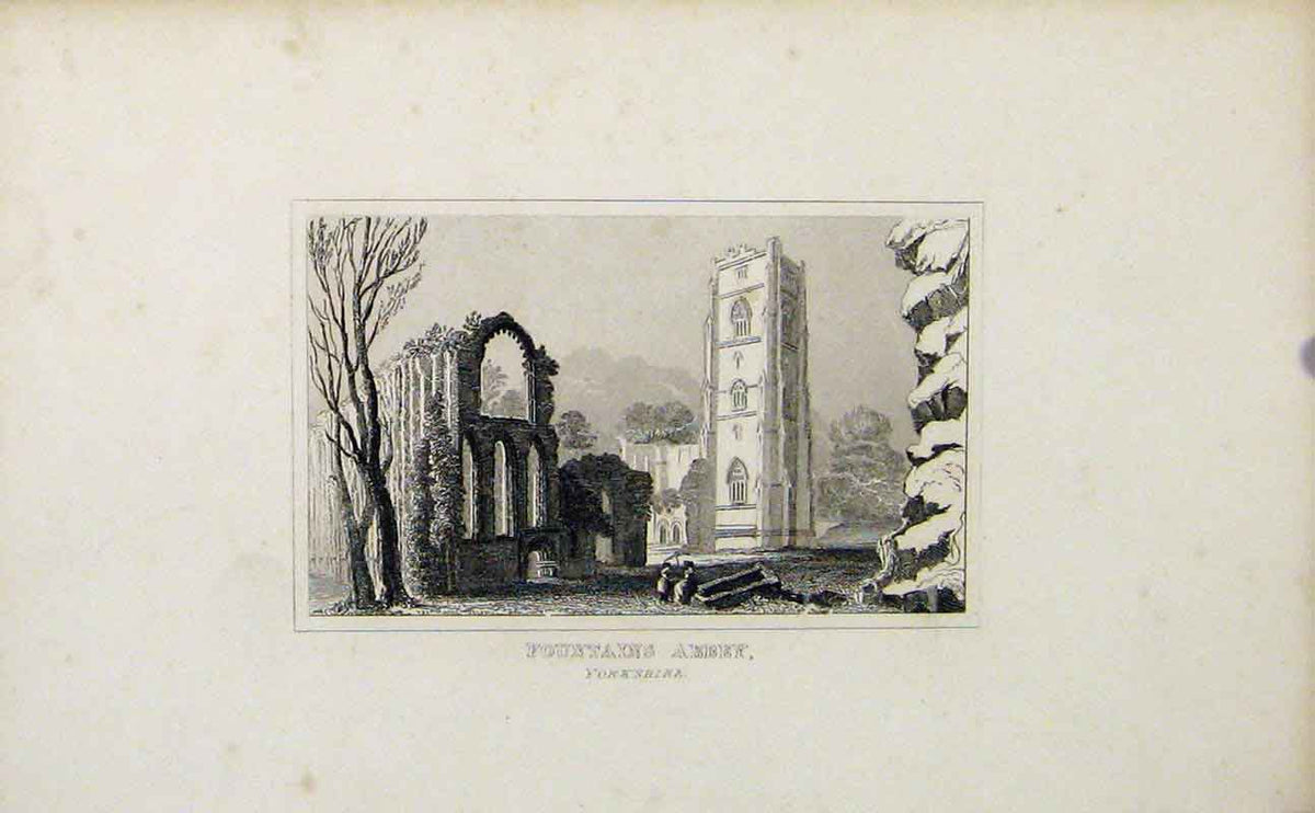 Original Old Antique Print Yorkshire England Fountains Abbey C1849 Victorian