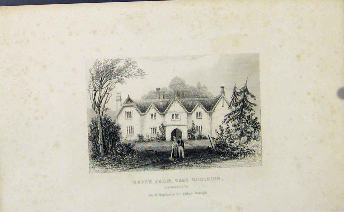 Original Old Antique Print England C1849 Hayes Farm East Budleigh Devonshire