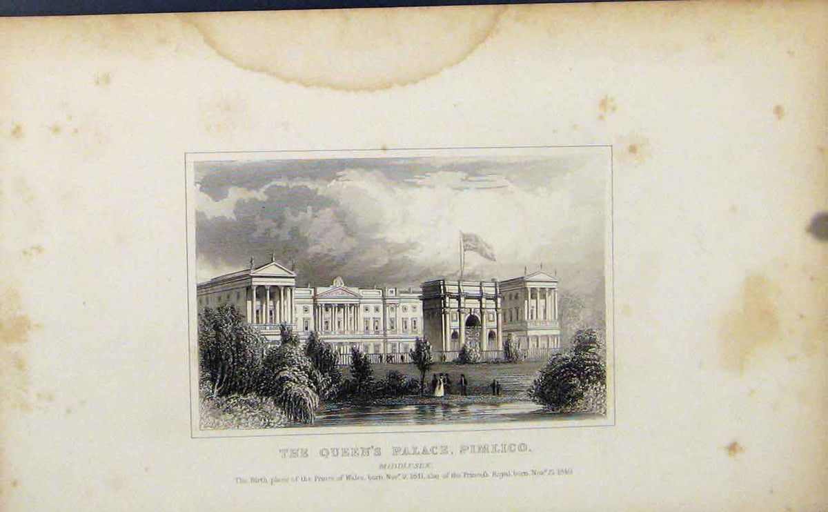 Original Old Antique Print Queens Palace Pimlico Middlesex England London C1849
