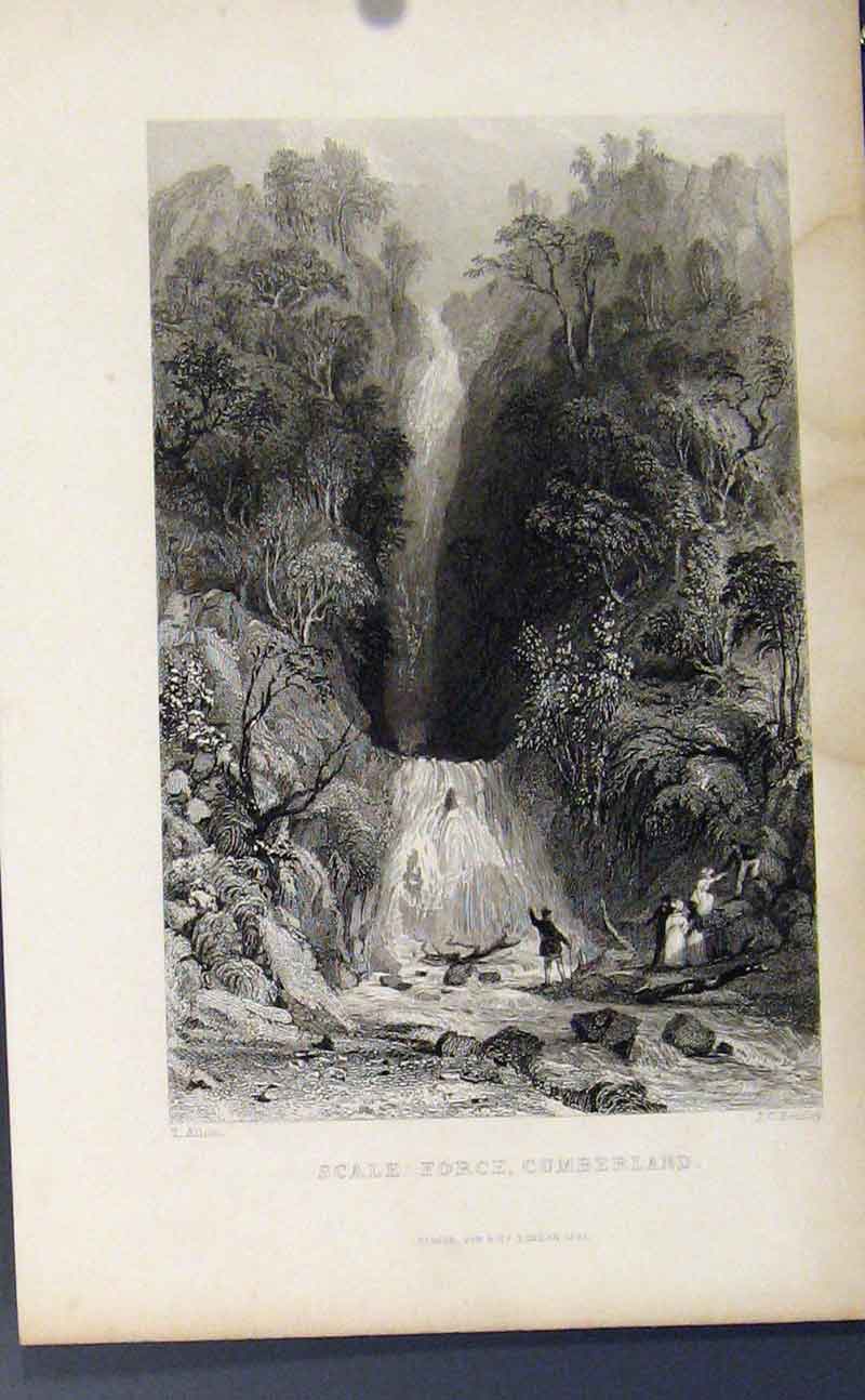 Original Old Antique Print Scale Force Cumberland C1849 Fine Art 19th