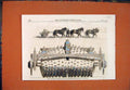 Original Old Antique Print Braby Machine Scarifying Tilling Land Braby'S 1861