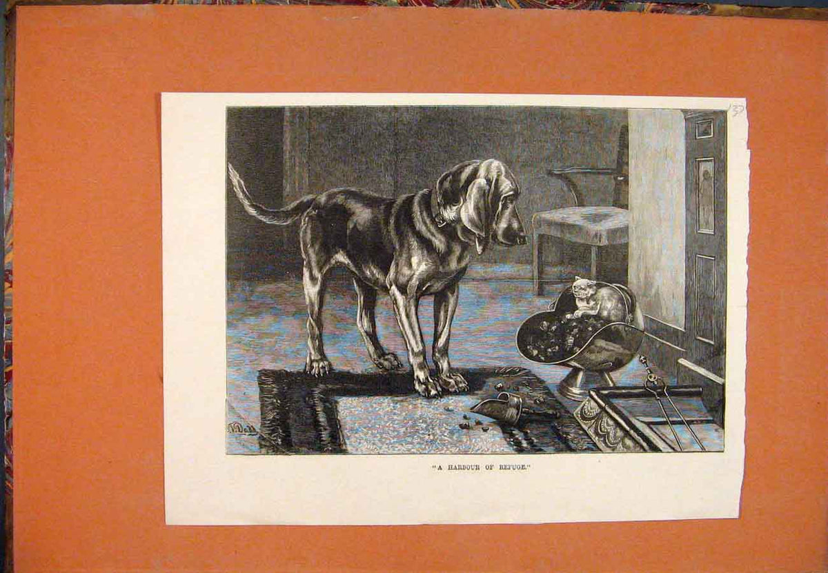 Original Old Antique Print Harbour Refuge Dog Cat Coal Shuttle Fine Art