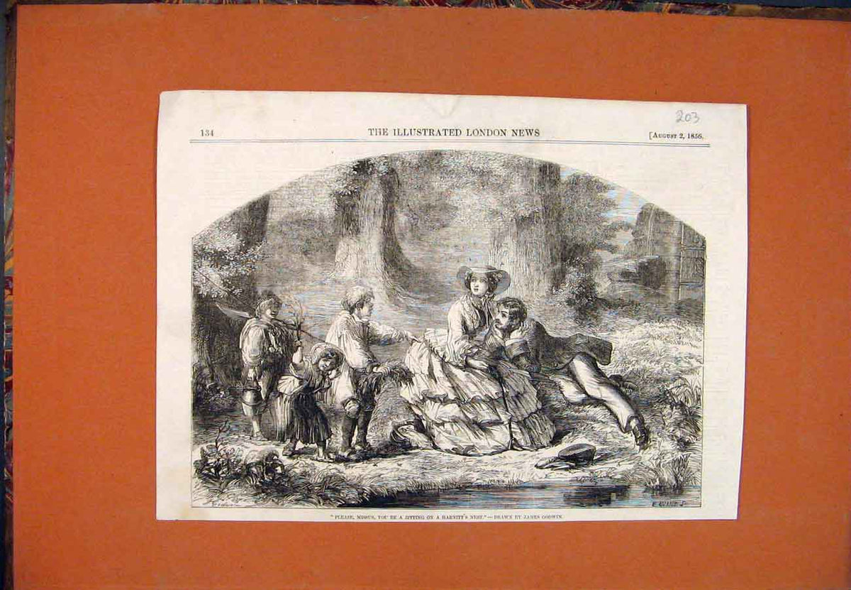 Original Old Antique Print Godwin Harnitt'S Nest Lady Children Fine Art 1856