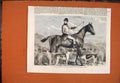 Original Old Antique Print Williamson Huntsman Buccleuch Horse Norman