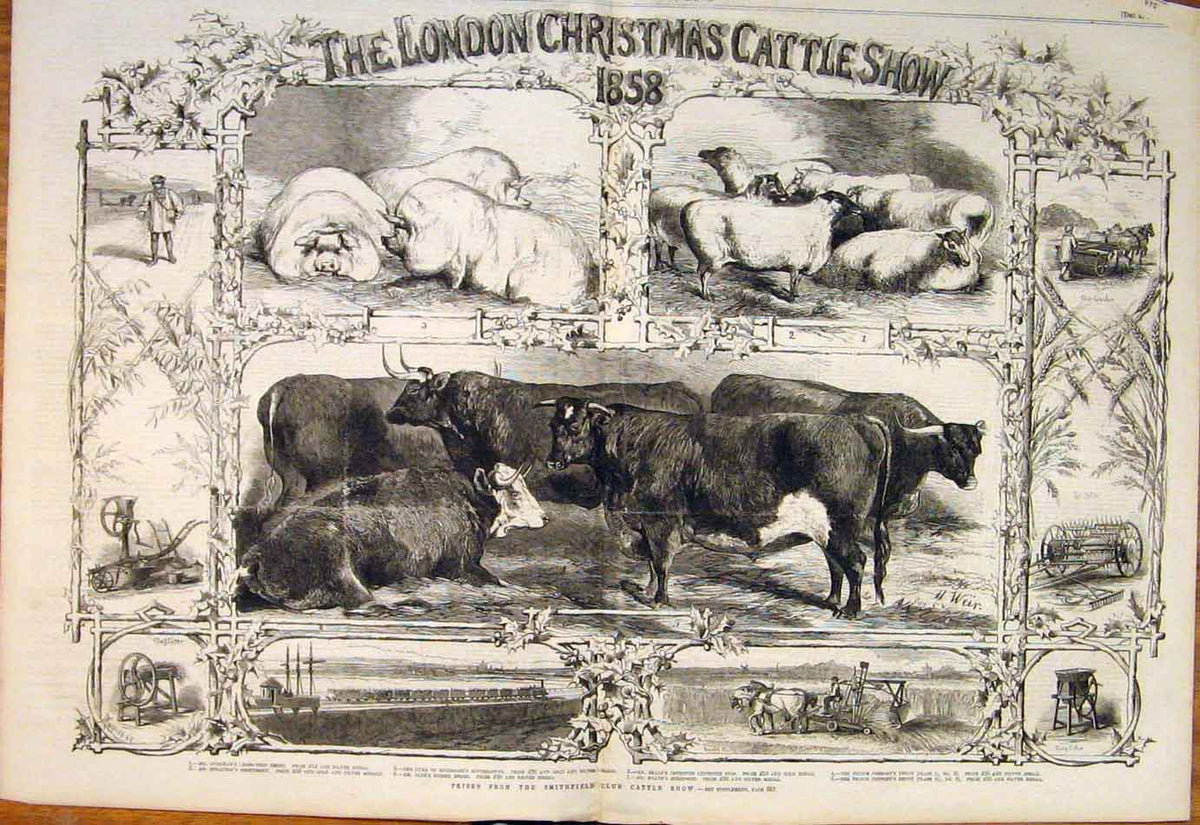 Old Antique Print 1847 Derby Tattenham Corner Races Racing Horses Sketch 19th