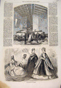 Old Antique Print Cattle Italian Exposition Florence Paris Fashions 1861 19th