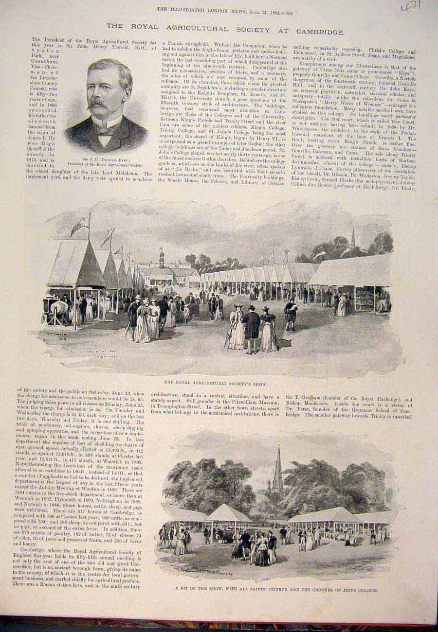 Original Old Antique Print 1894 ThorRoyal Agricultural Society Show Cambridge