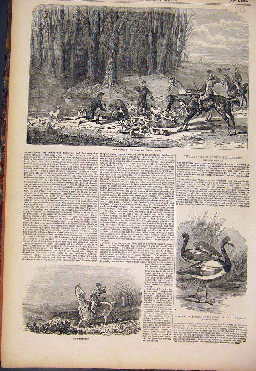 Original Old Antique Print 1855 Fox Hunting Tally-Ho Hounds Hunt Swan Geese 19th