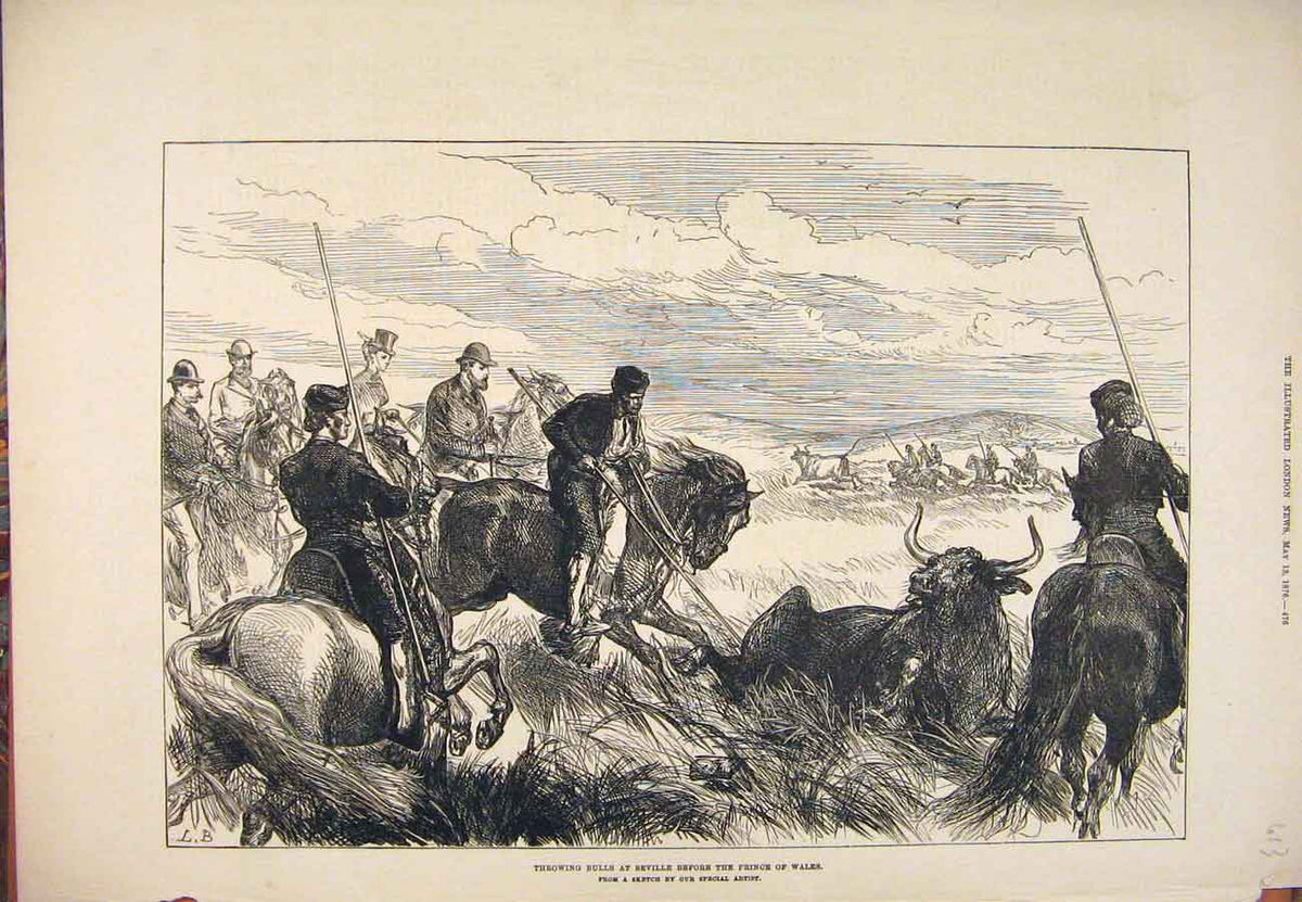 Original Old Antique Print 1876 Bulls Seville Prince Wales Sketch 19th