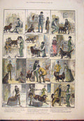 Original Old Antique Print 1888 Bought SDog Tail Story Sketch Dadd Victorian
