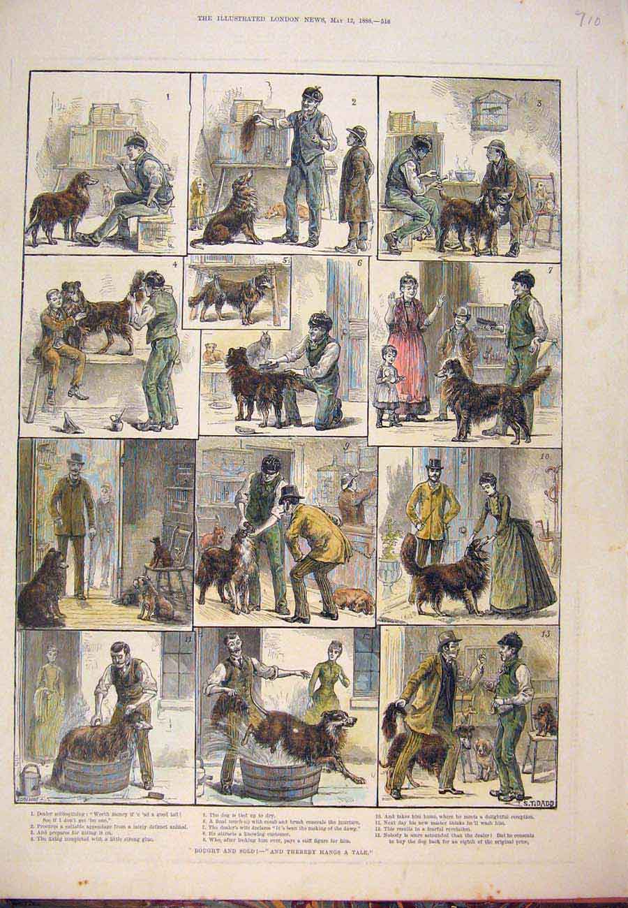 Original Old Antique Print 1888 Bought SDog Tail Story Sketch Dadd Victorian
