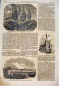 Old Antique Print Flying Foxes Regent'S Park Antelope Weslyan Chapel 1861 19th