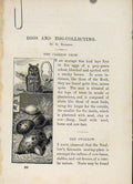 Original Old Antique Print Wild Birds C1883 16Pgs Bird Eggs Collection Victorian