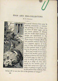 Original Old Antique Print C 1883 Familiar Birds Egg Collecting Booklet 19th