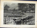 Original Old Antique Print Boer War By Richard Danes Corssing A Drift
