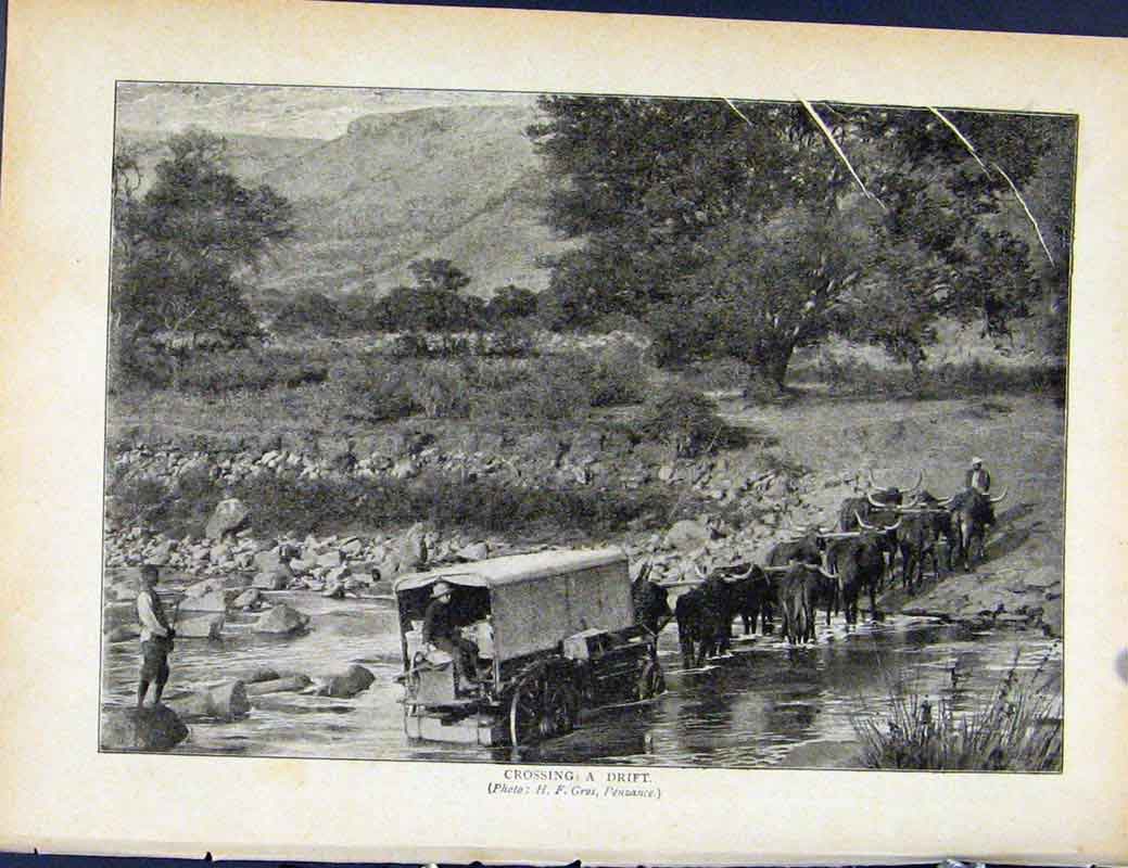 Original Old Antique Print Boer War By Richard Danes Corssing A Drift
