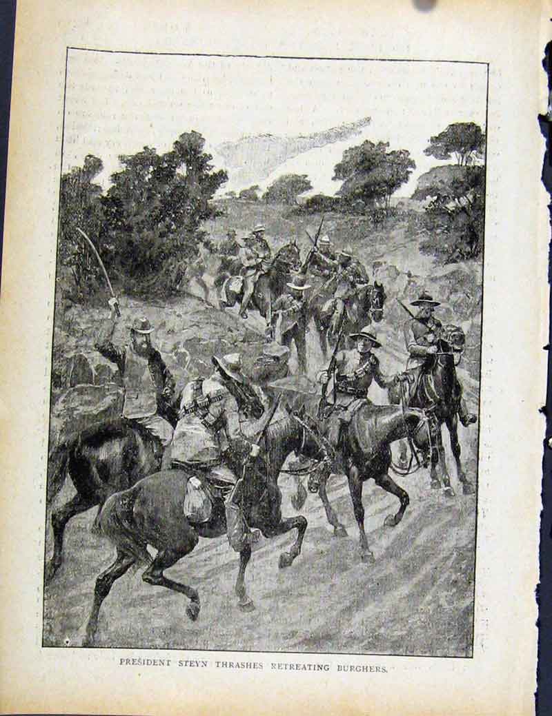 Original Old Antique Print Boer War By Richard Danes President Steyn Thrashers