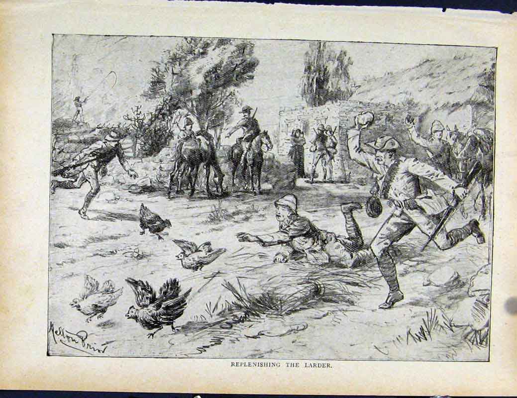 Original Old Antique Print Boer War By Richard Danes Replenishing Larder
