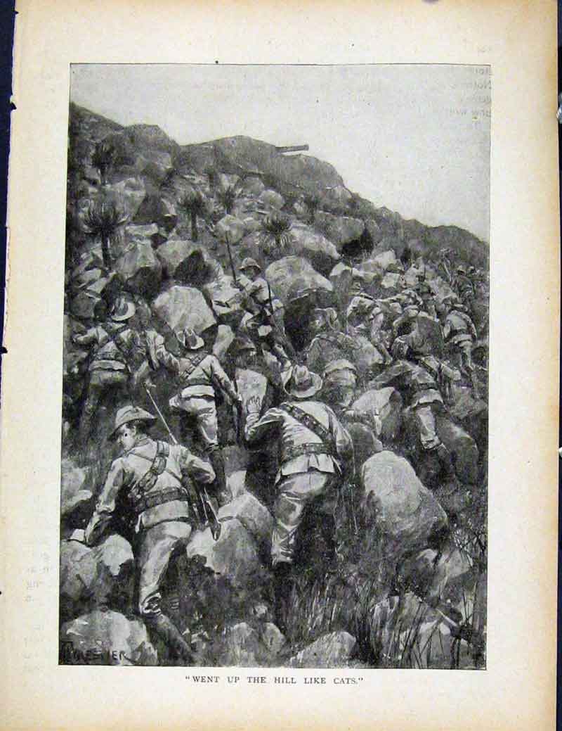 Original Old Antique Print Boer War By Richard Danes Went Up Hill Like Cats