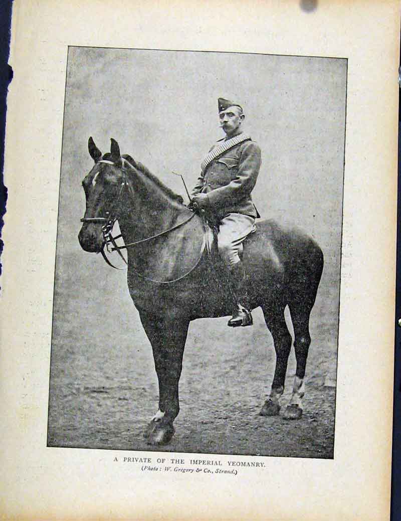 Original Old Antique Print Boer War By Richard Danes Private Imperial Yeomanary