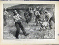 Original Old Antique Print Boer War By Richard Danes Commandeered French Troop