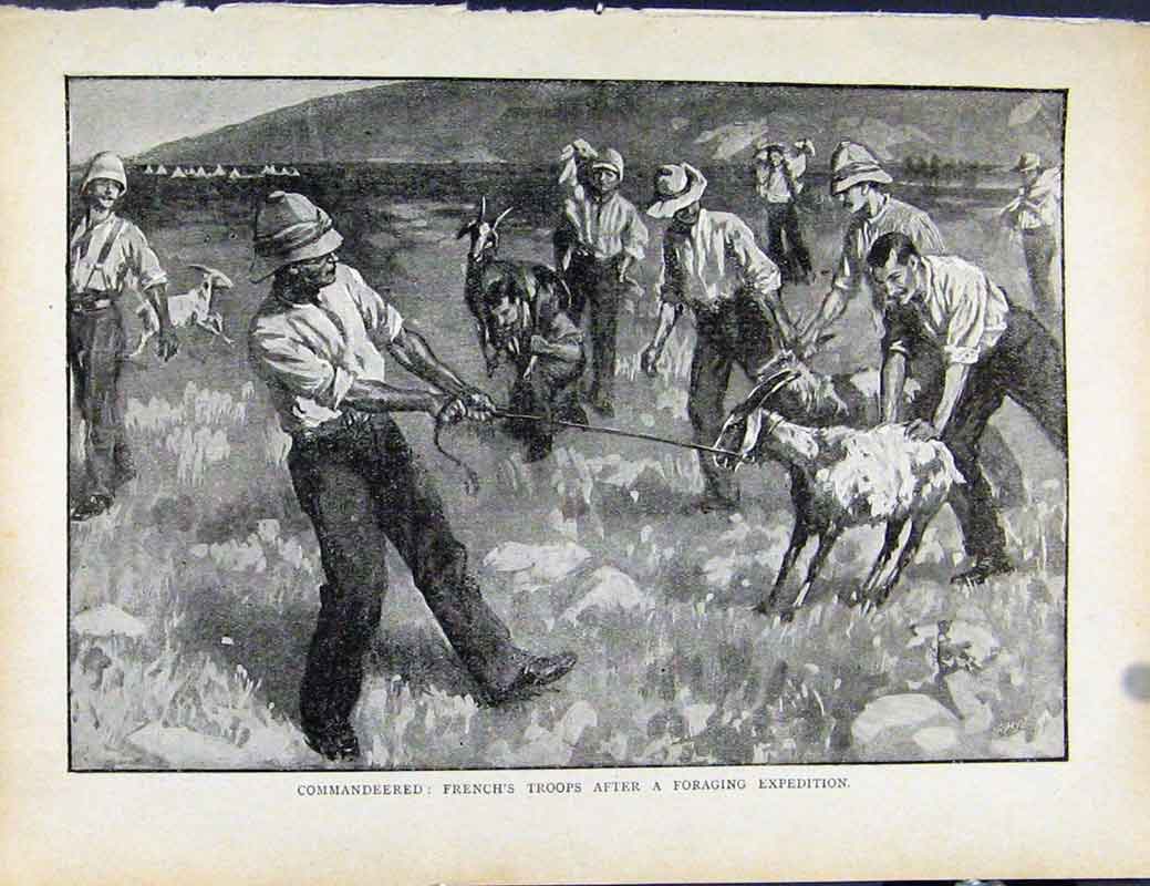 Original Old Antique Print Boer War By Richard Danes Commandeered French Troop