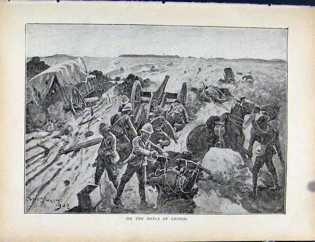 Original Old Antique Print Boer War By Richard Danes Heels Cronje
