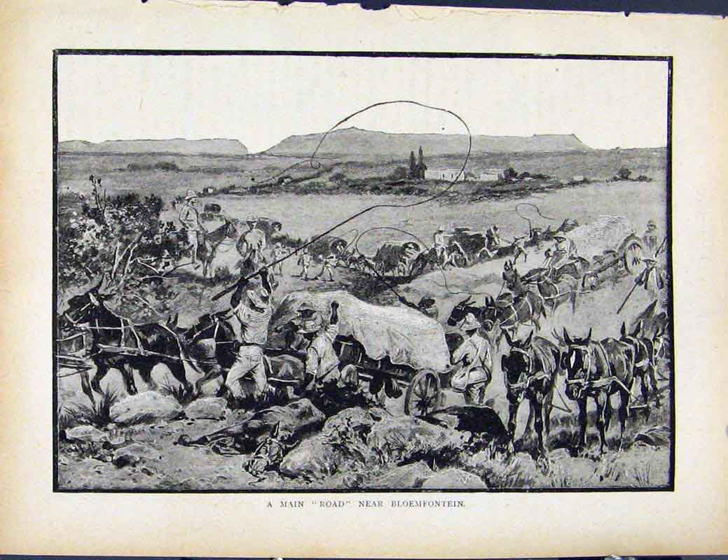 Original Old Antique Print Boer War By Richard Danes Main Road Bloemfontein
