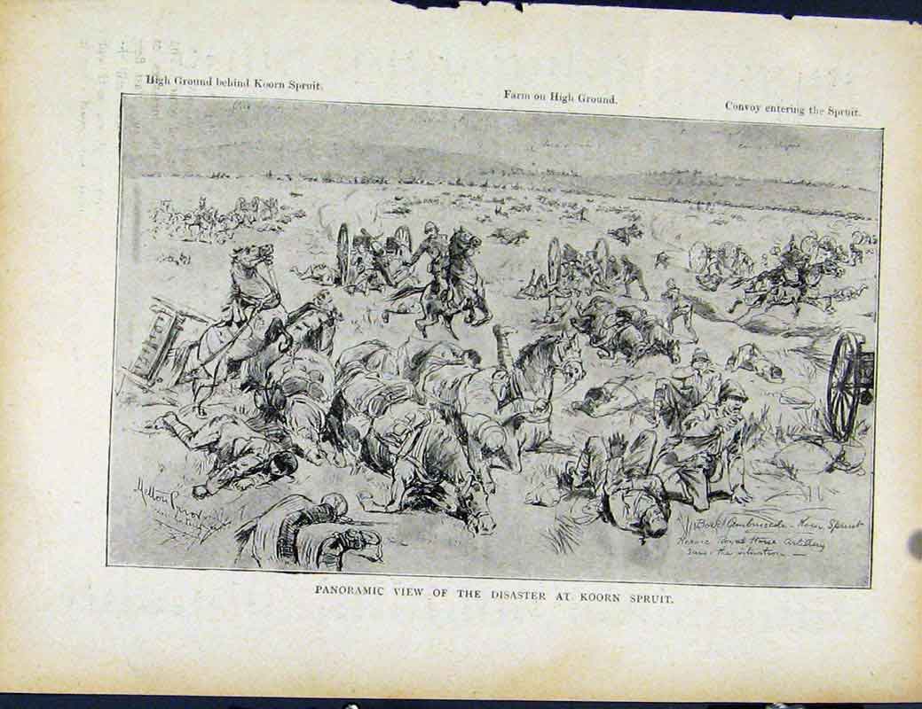 Old Antique Print Boer War By Richard Danes Panoramic View Disaster Koorn