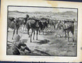 Original Old Antique Print Boer War By Richard Danes Mounted Infantry Halting