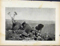 Original Old Antique Print Boer War By Richard Danes Boers Firing Down Convoy