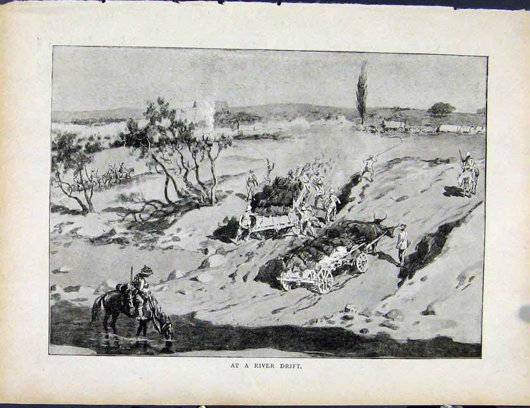 Original Old Antique Print Boer War By Richard Danes At River Drift Fine Art
